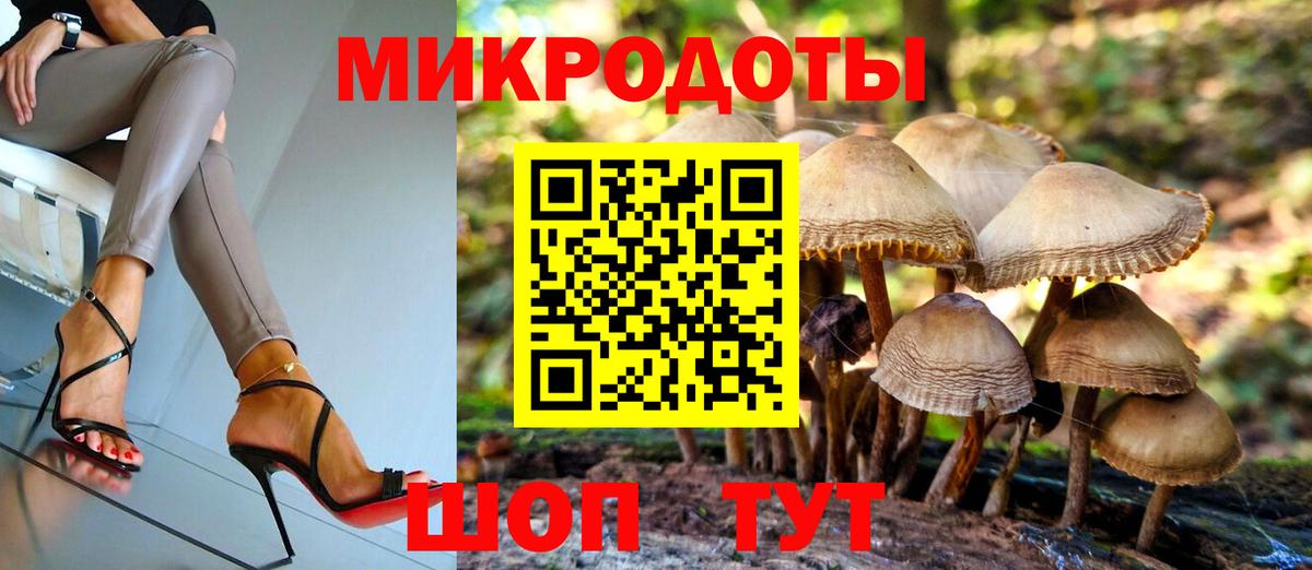 Галлюциногенные грибы GOLDEN TEACHER  Вход с VPN  Заволжье 
