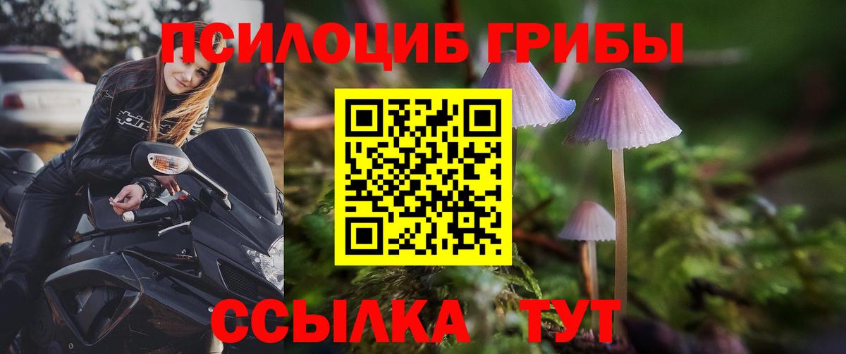 Псилоцибиновые грибы мицелий Заволжье